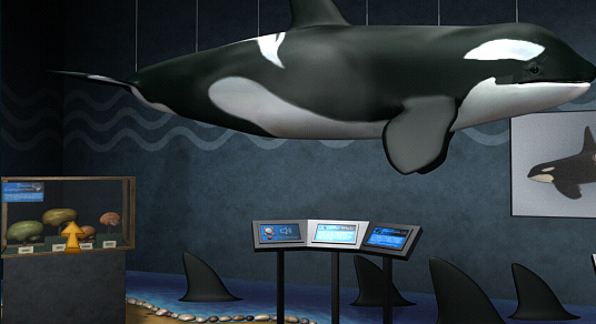 Enter the Whale World museum and learn about whales!