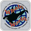 DDI Whale World