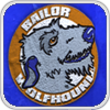 HAU Bailor Wolfhound