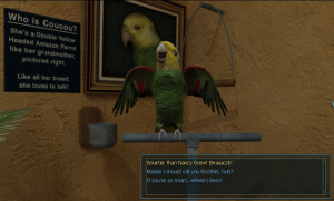 Coucou, smart-talking Amazon parrot
