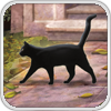 WAC Black Cat