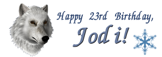 Nancy Drew Mystery Adventure Games Fan Birthday