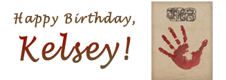 Nancy Drew Mystery Adventure Games Fan Birthday