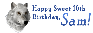 Nancy Drew Mystery Adventure Games Fan Birthday