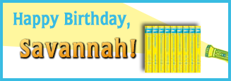 Nancy Drew Mystery adventure Games Ultimate Fan journal