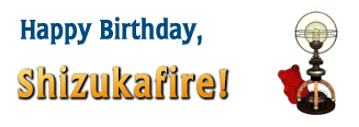 Nancy Drew Mystery Adventure Games Fan Birthday