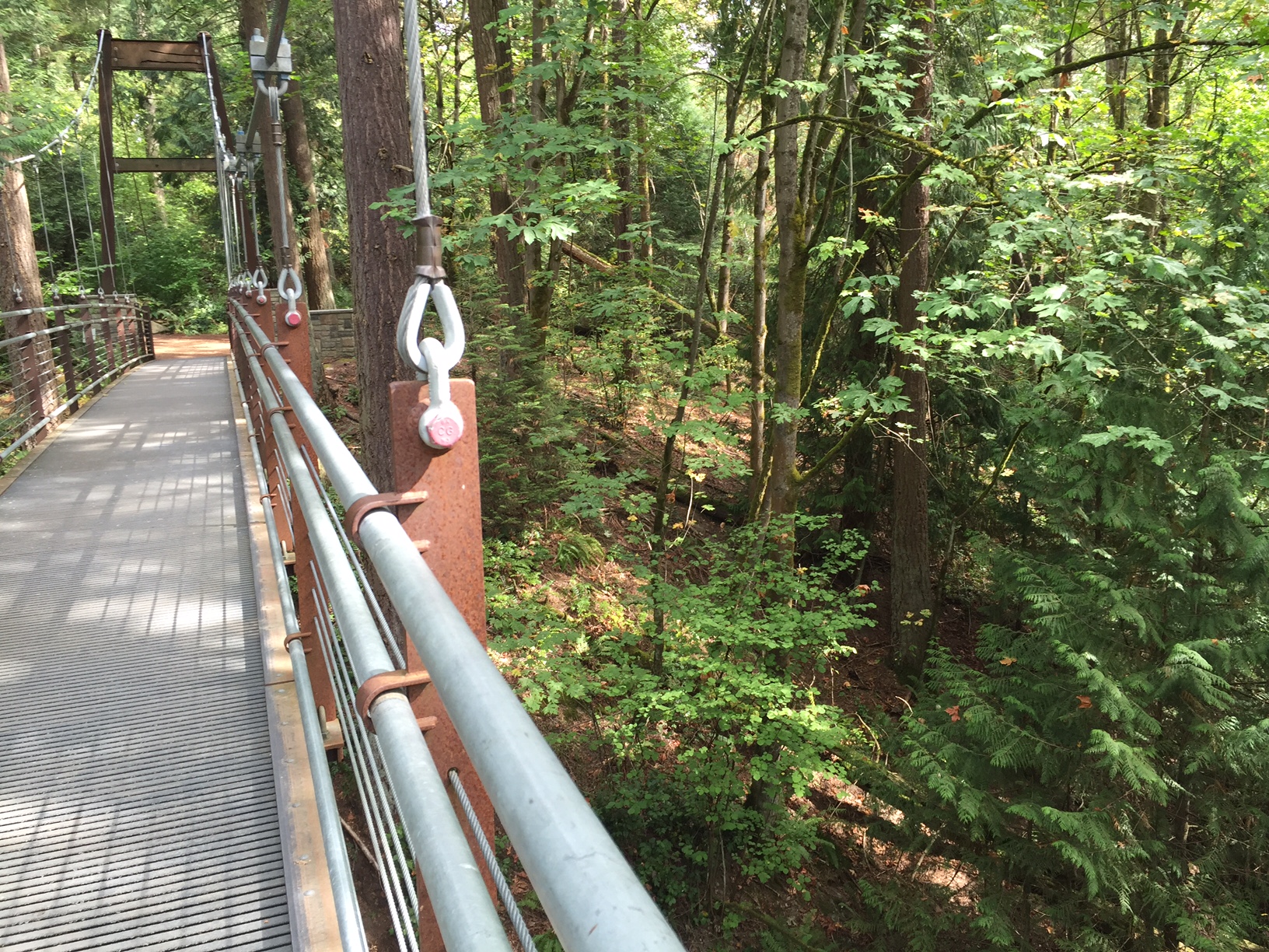 bridge_glimpse