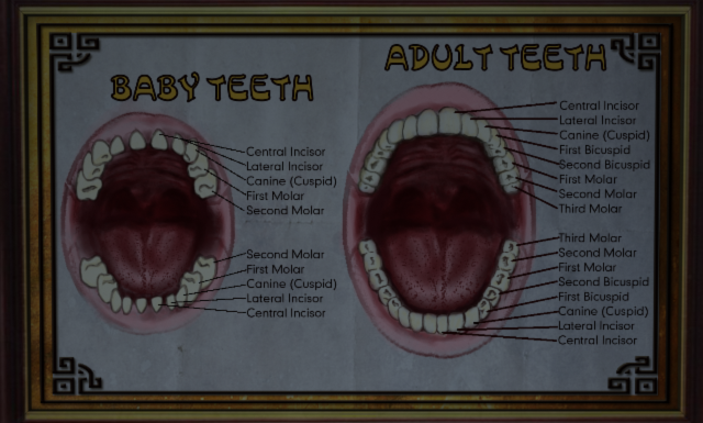 CRY_DentalChart