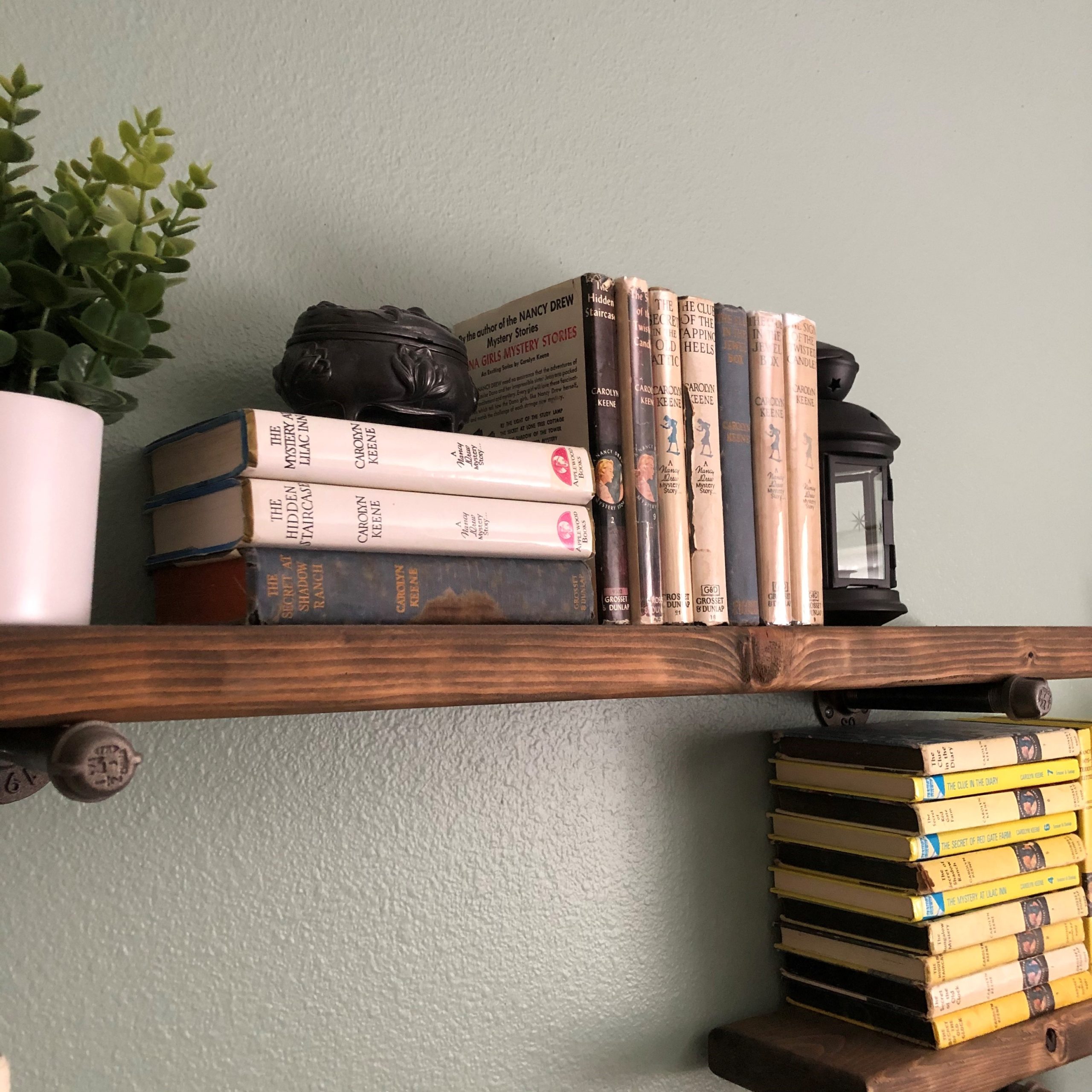 Nancy Drew Bookshelf - Calina