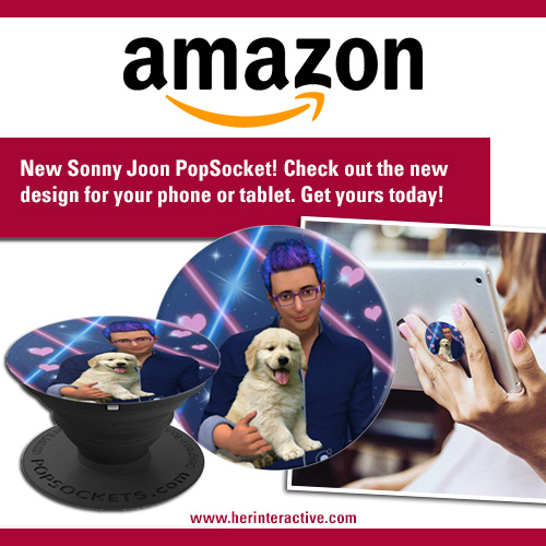 Nancy Drew Mystery Adventure Games Soony Joon and Puppy